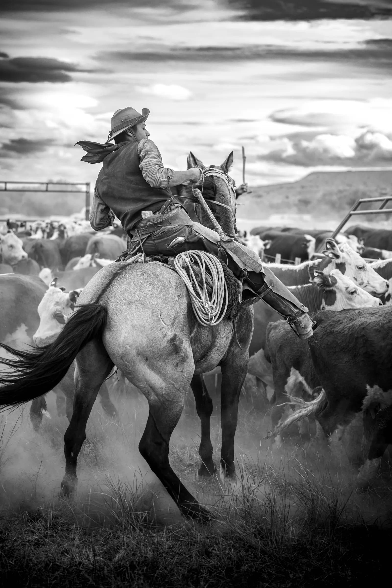 Un jinete entre la hacienda, levantando polvo