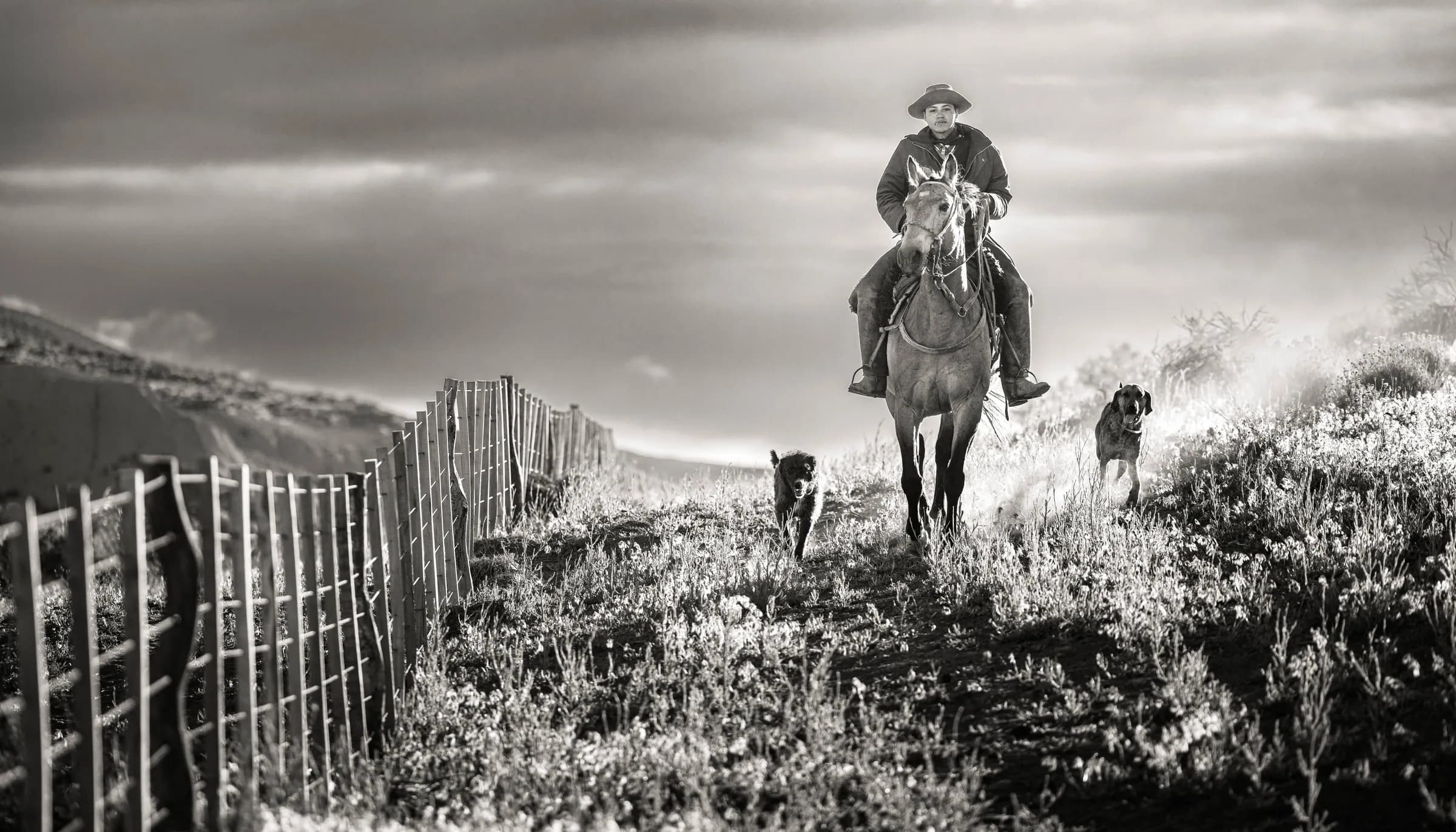 Un jinete con sus perros junto al corral